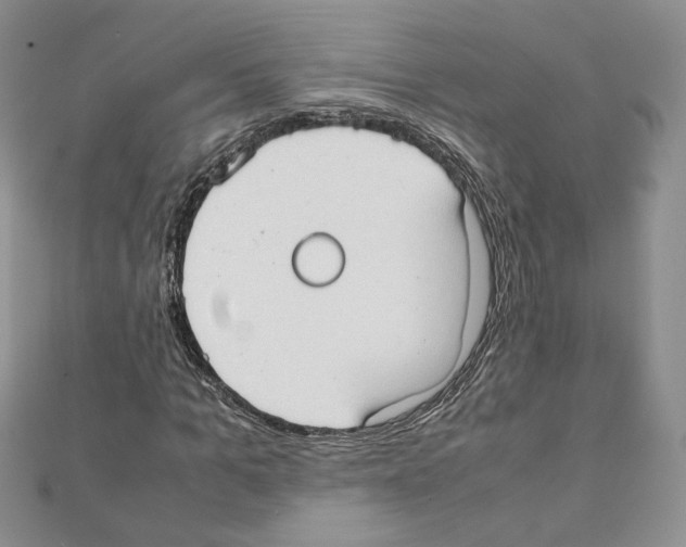 X0000111350965200908211231