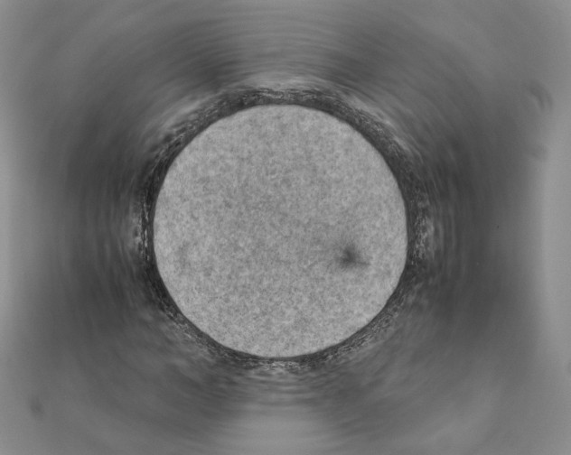 X0000111350966200908211231