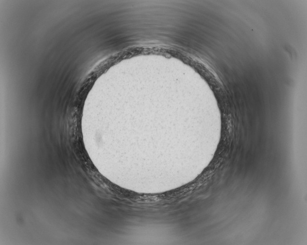 X0000111350968200908211231