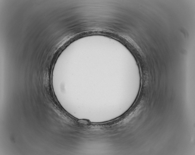 X0000111350969200908211231