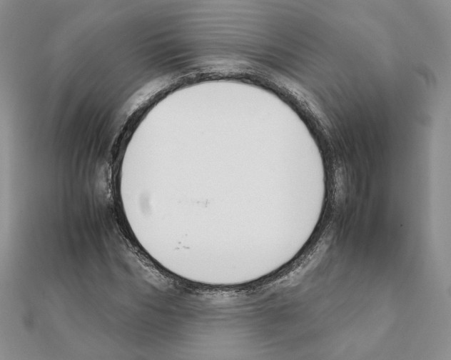 X0000111350970200908211231
