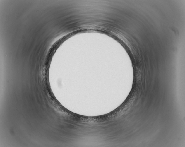 X0000111350971200908211231
