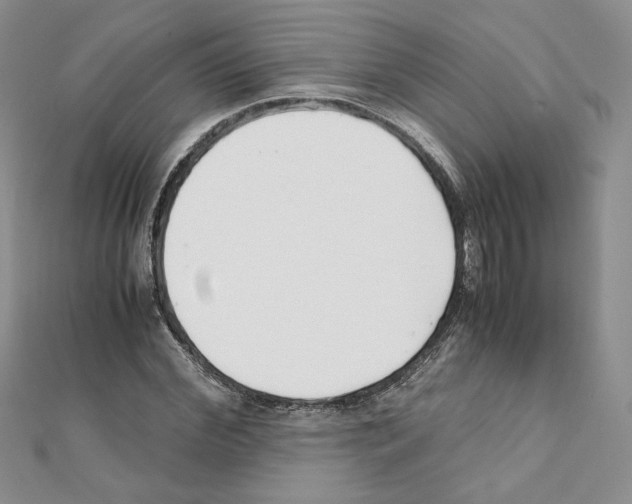 X0000111350972200908211231