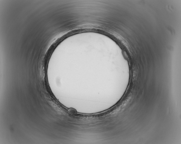 X0000111350973200908211231