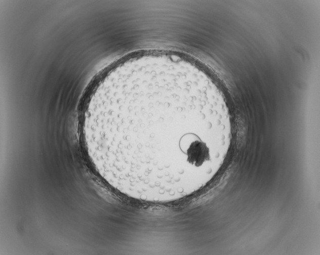 X0000111350974200908211231