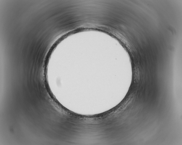 X0000111350976200908211231