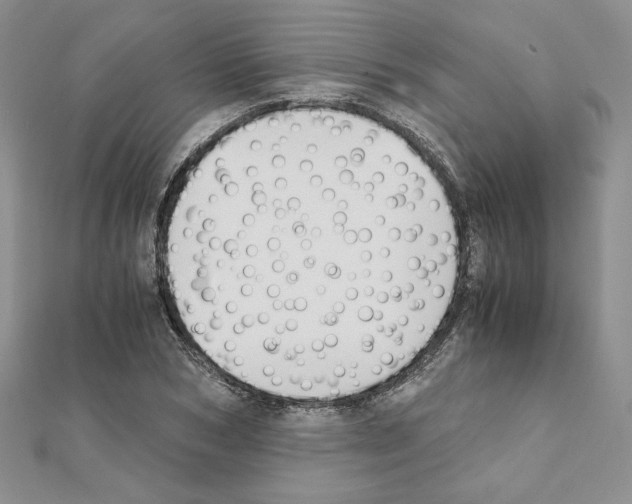X0000111350978200908211231