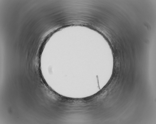 X0000111350979200908211230