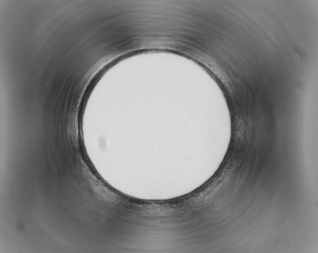 X0000111350980200908211230
