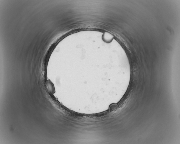 X0000111350981200908211230