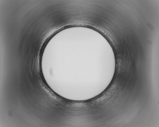X0000111350982200908211230