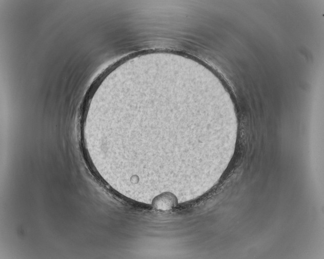 X0000111350983200908211230
