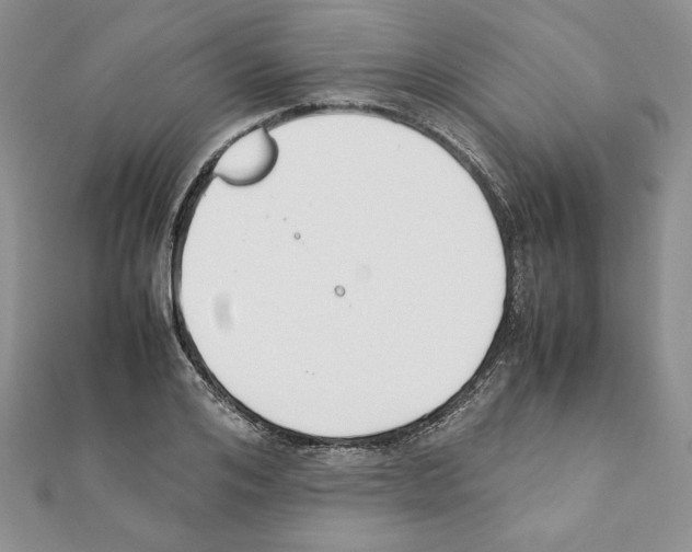 X0000111350984200908211230
