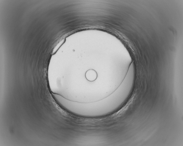 X0000111350985200908211230