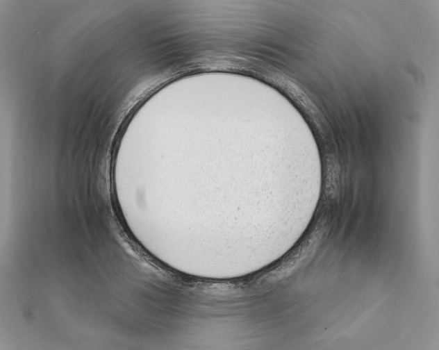 X0000111350986200908211230