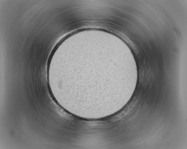 X0000111350988200908211230