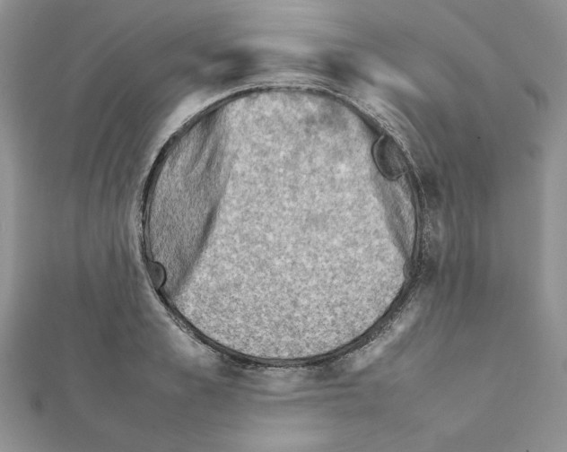 X0000111350989200908211230