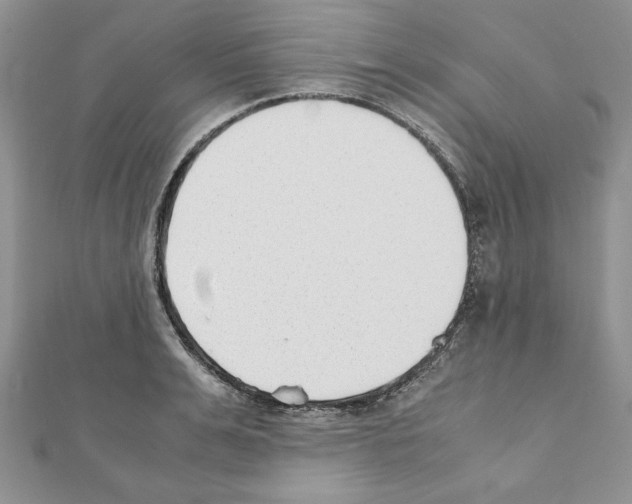 X0000111350991200908211230