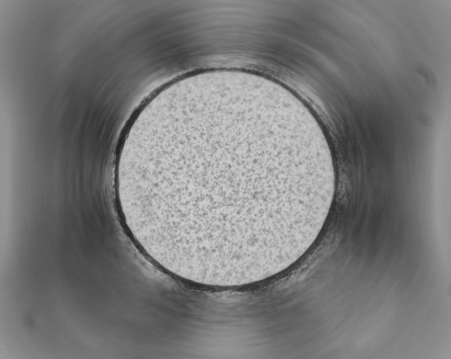 X0000111350992200908211230