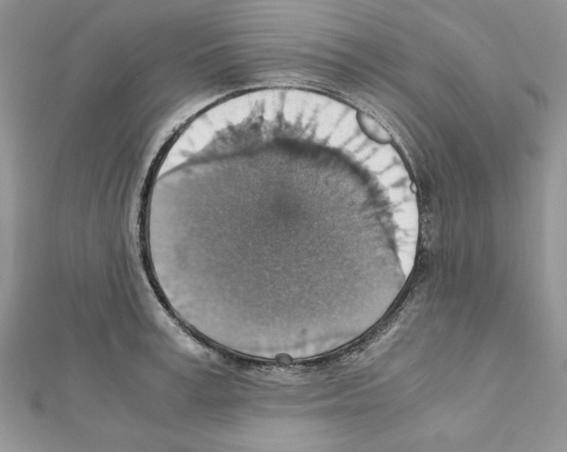 X0000111350995200908211230