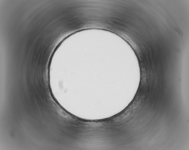 X0000111350996200908211230