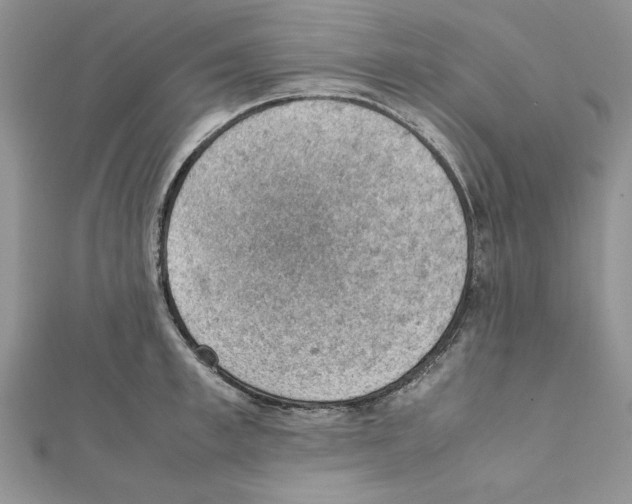 X0000111350997200908211230