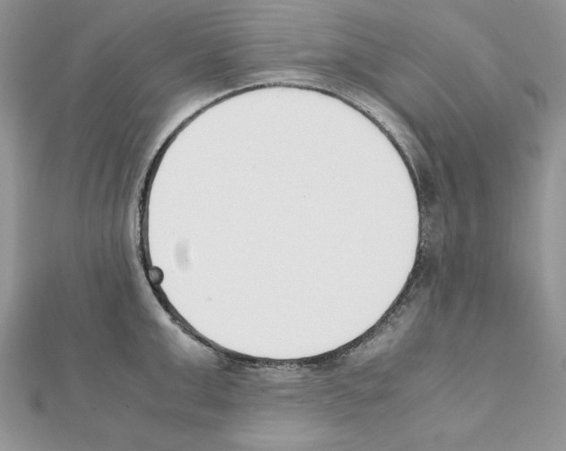 X0000111350999200908211230