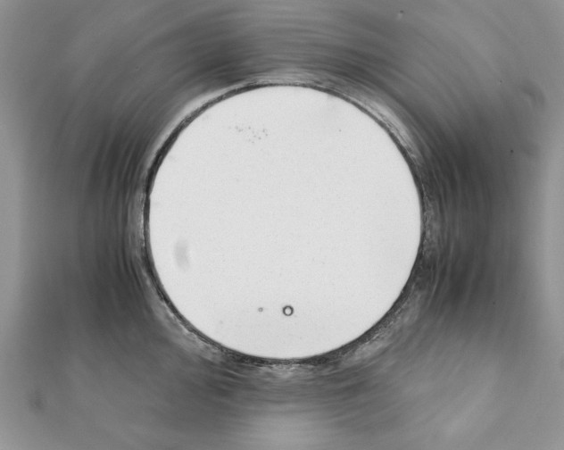 X0000111351000200908211230