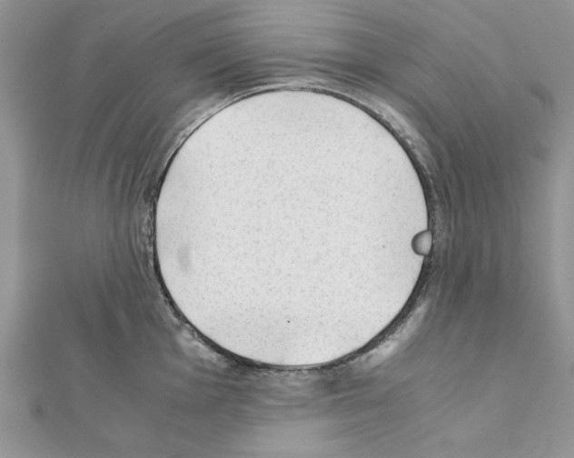 X0000111351001200908211230