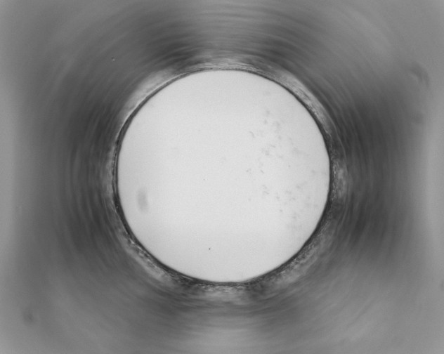 X0000111351002200908211230