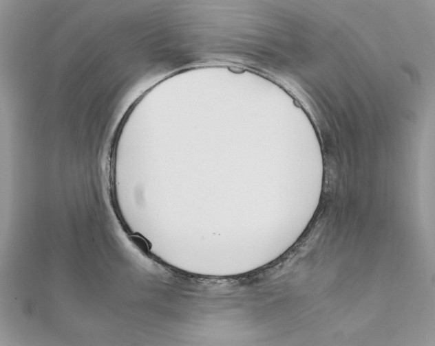 X0000111351003200908211230