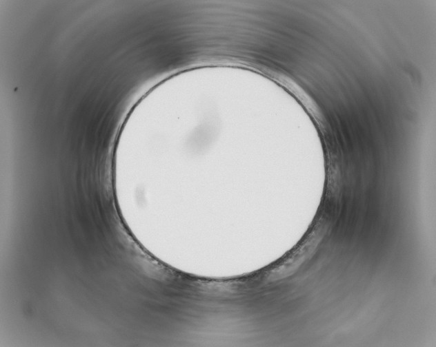 X0000111351004200908211230