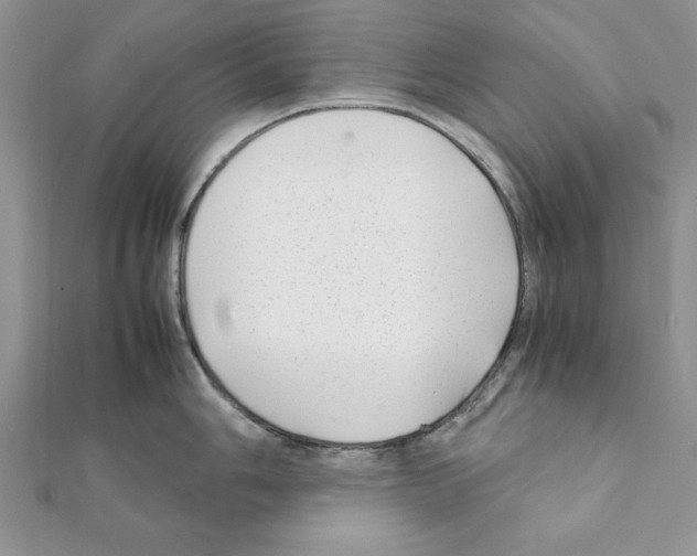 X0000111351006200908211230