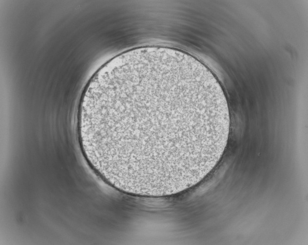 X0000111351007200908211230