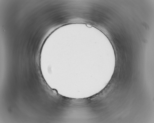 X0000111351008200908211230