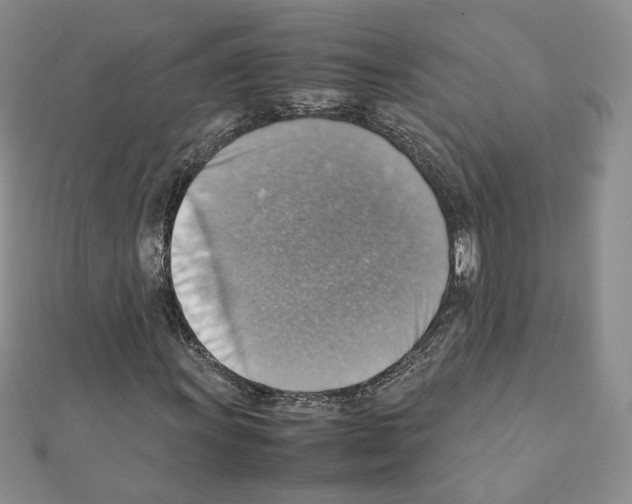 X0000111351011200908211229