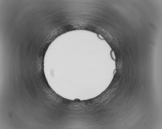 X0000111351012200908211229