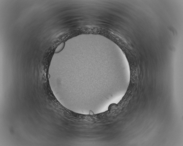 X0000111351013200908211229