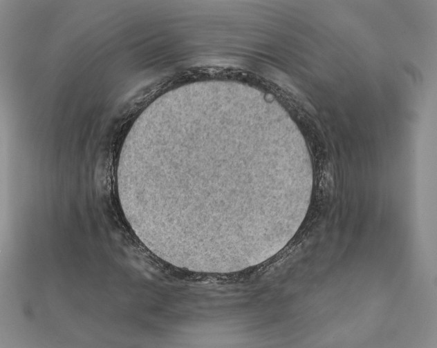 X0000111351014200908211229