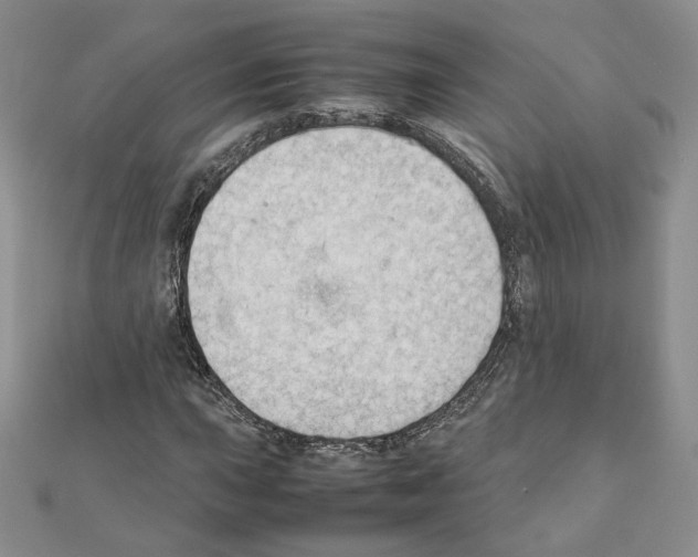 X0000111351015200908211229