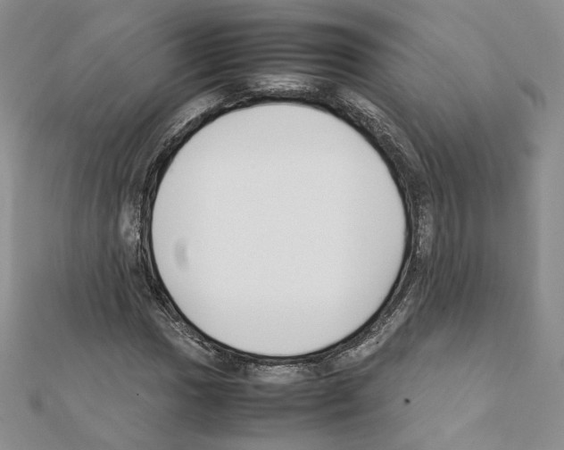 X0000111351017200908211229