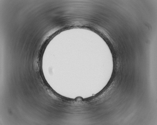 X0000111351018200908211229