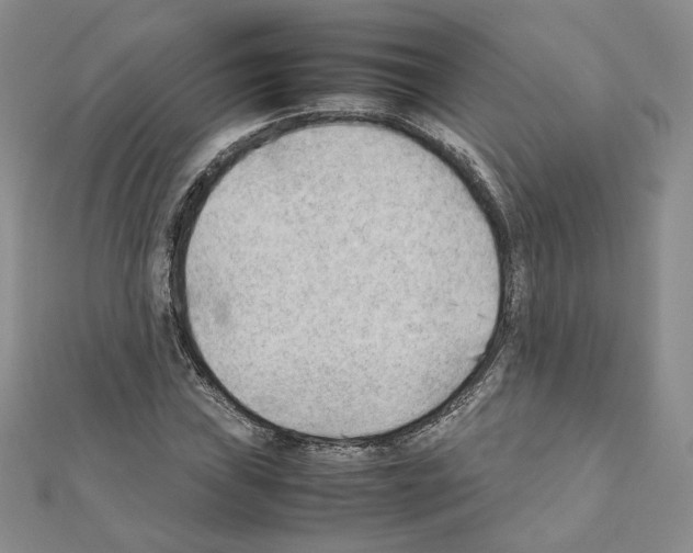 X0000111351019200908211229