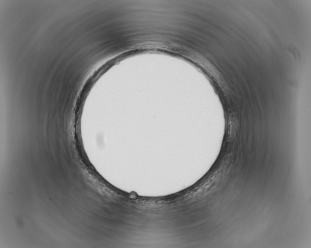 X0000111351020200908211229