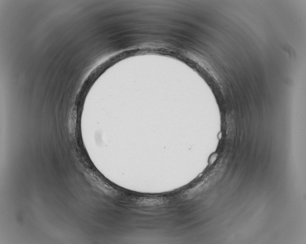 X0000111351021200908211229