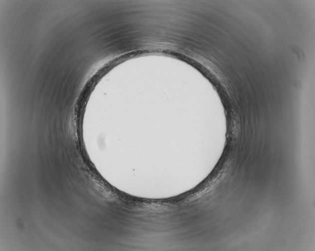 X0000111351022200908211230