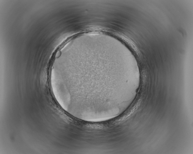 X0000111351023200908211230