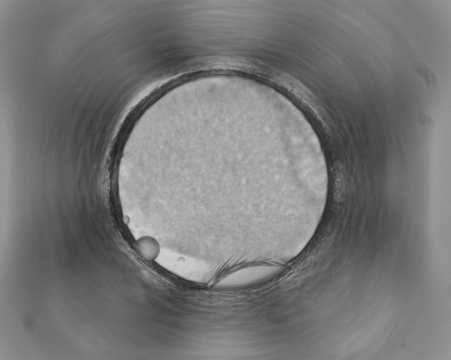 X0000111351024200908211230