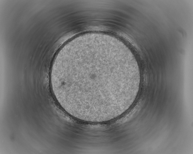 X0000111351025200908211230