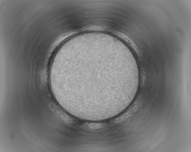 X0000111351027200908211230